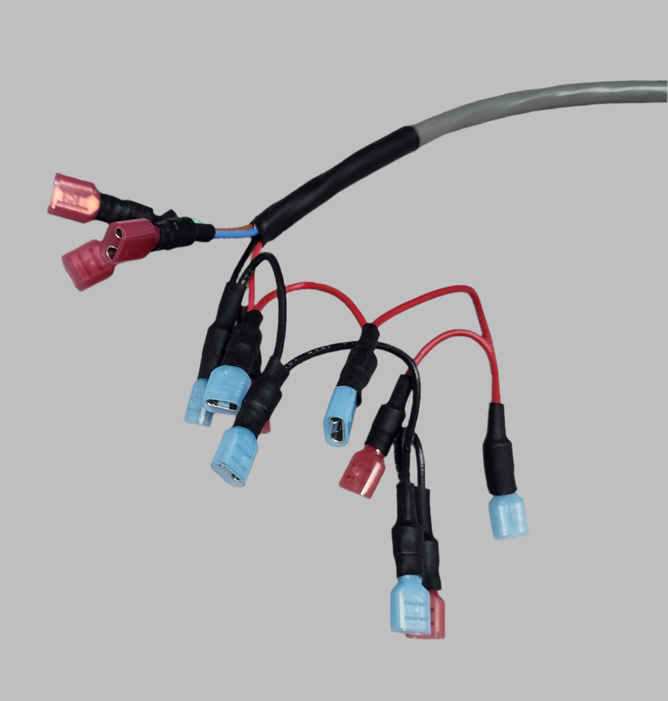 Double Switch Pigtail (GEN 1)