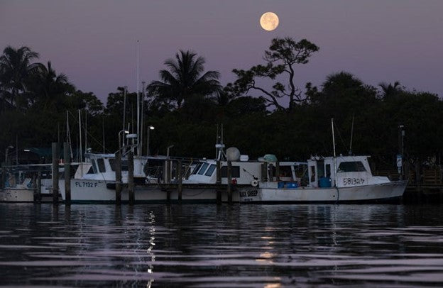 Port Salerno's commercial fishing legacy ripples through three generat