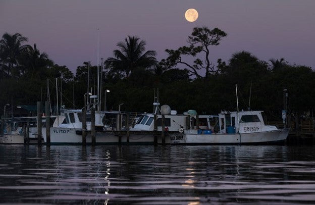 Port Salerno's commercial fishing legacy ripples through three generations of local anglers